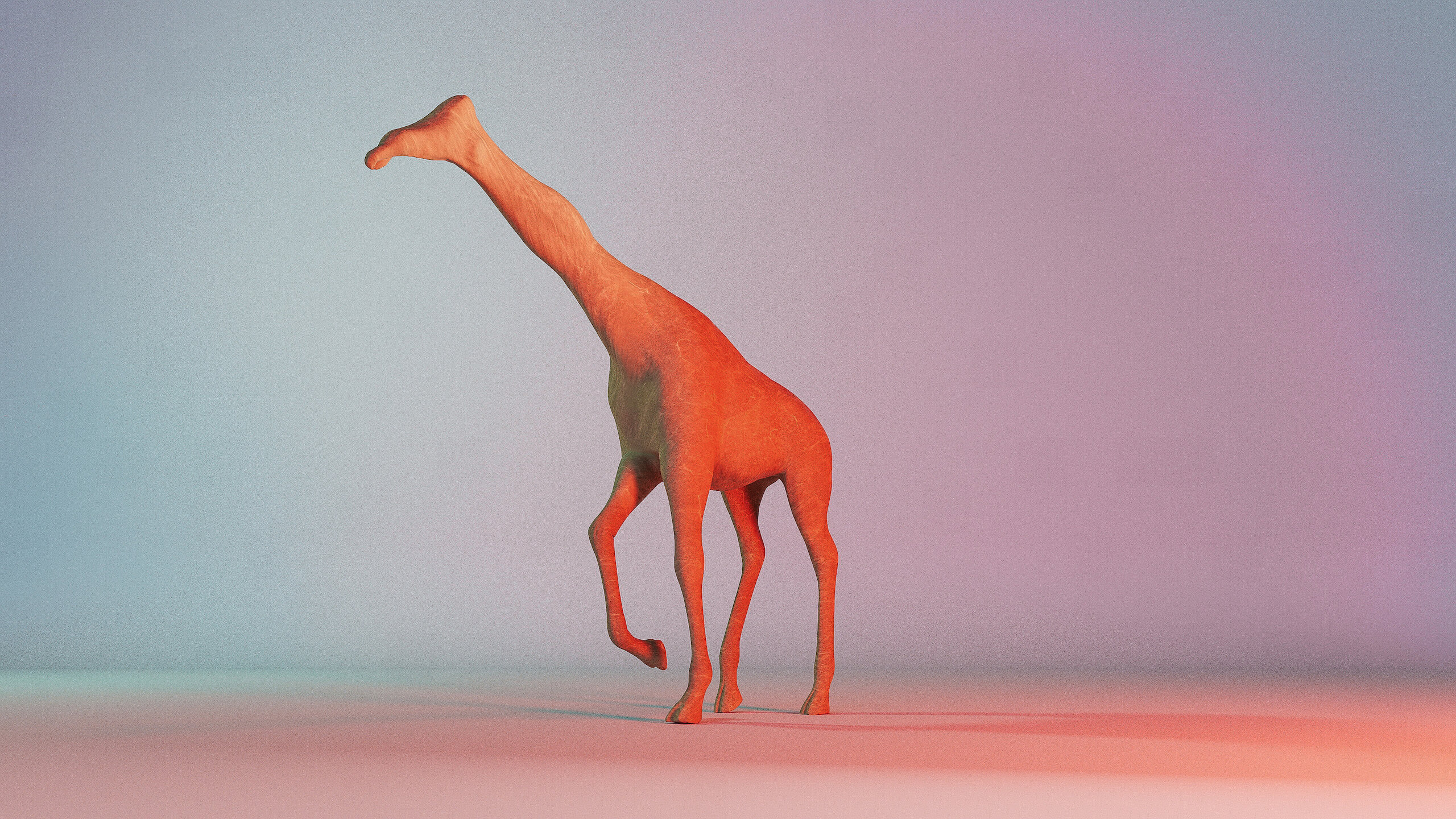2-giraffe-leg