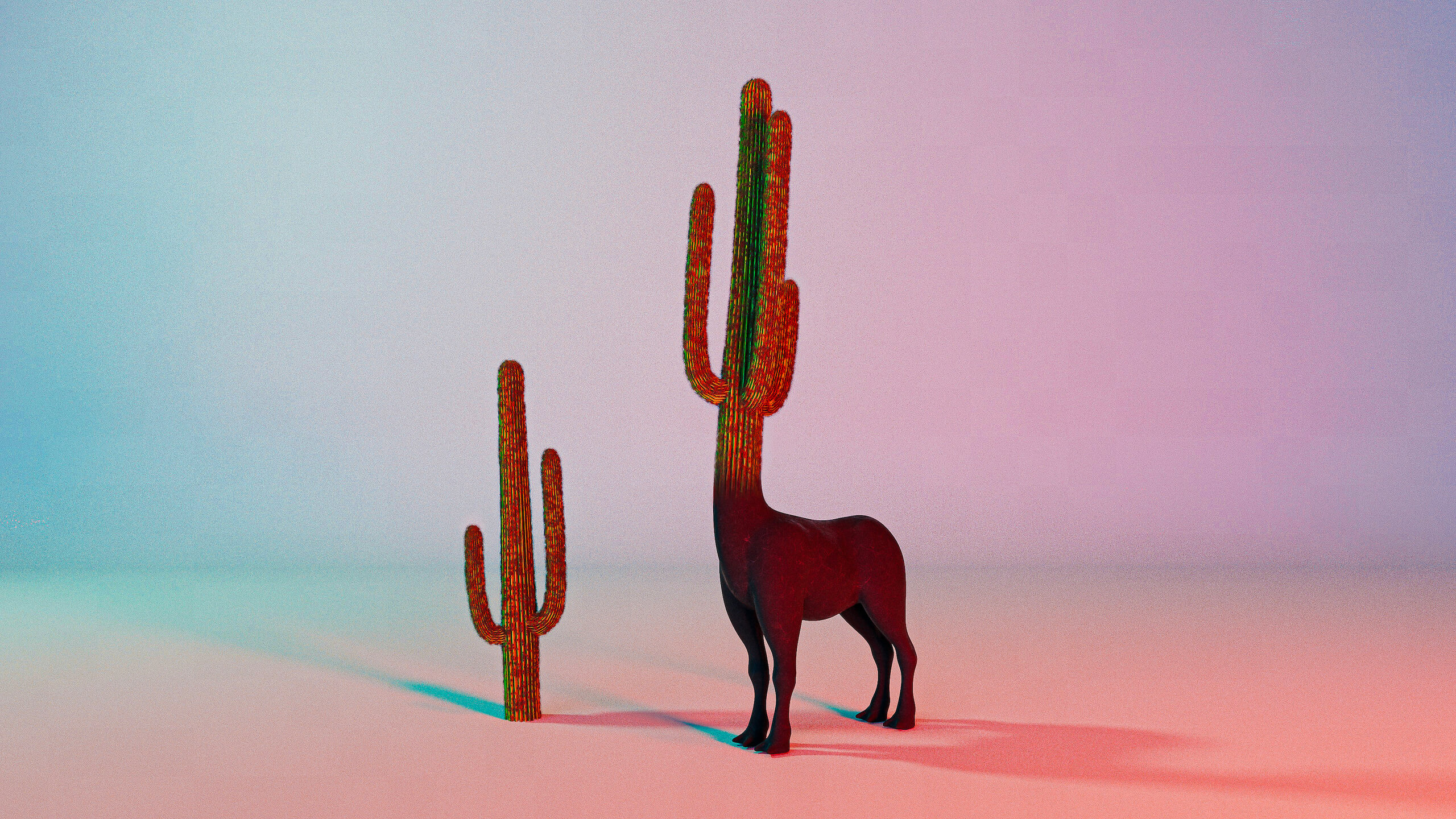 3-lama-cactus